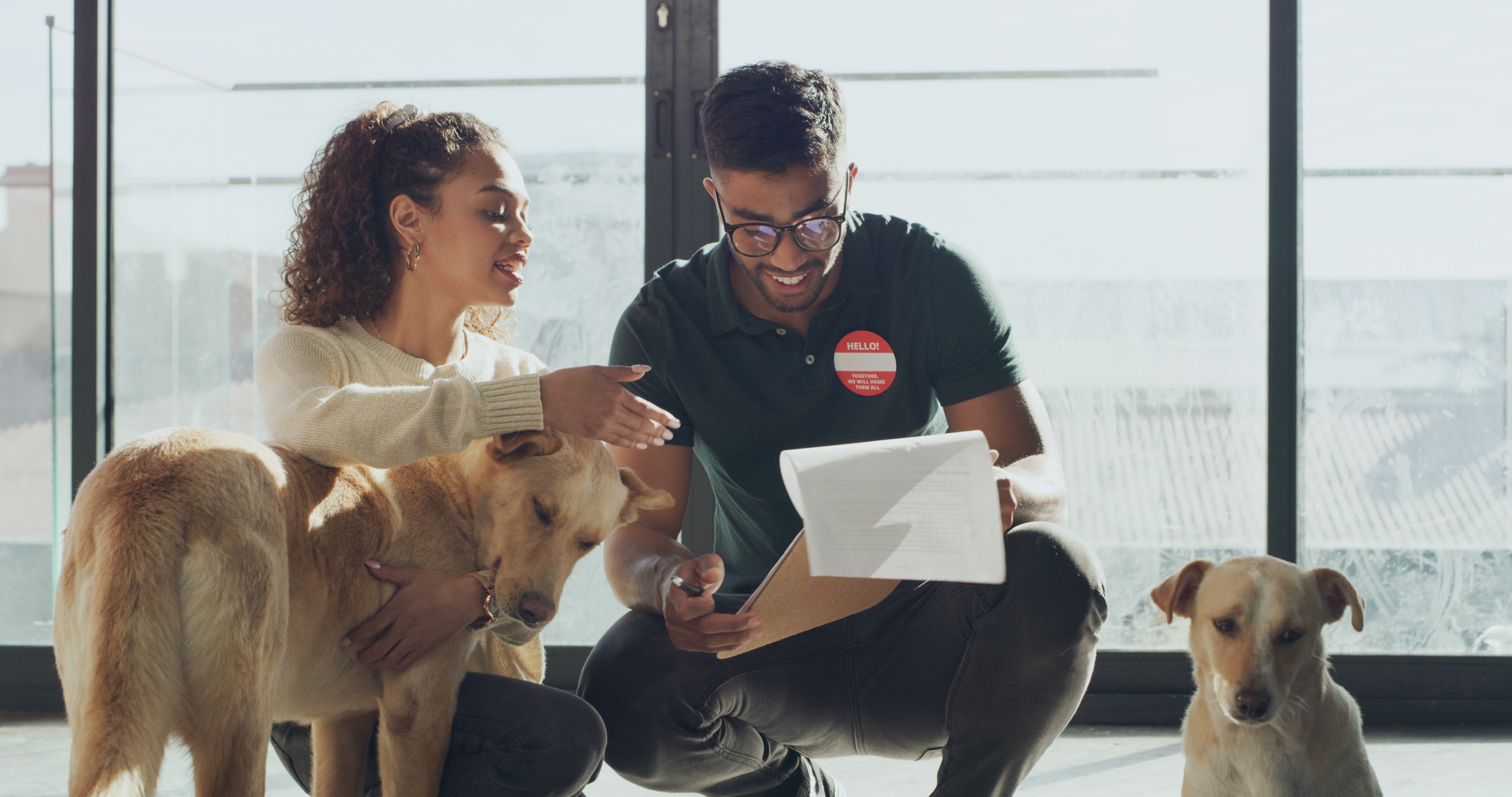 Assurer un chien adopté en refuge